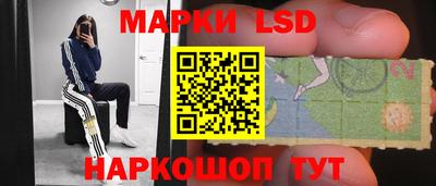 тгк Новокубанск