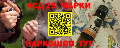 стафф Новозыбков